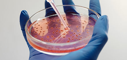 Life Science